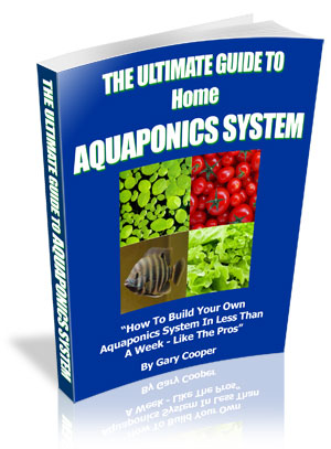  English One-time Billing Shippable Media PitchPlus The Ultimate Guide To Home Aquaponics System