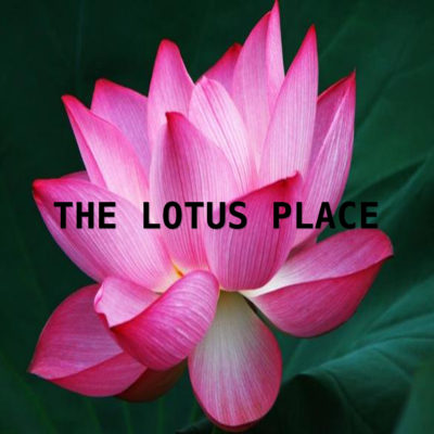 The Lotus Place 3000x3000